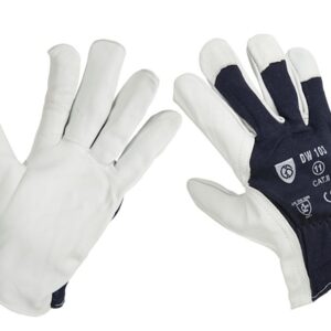 Par de Luvas Tamanho 10