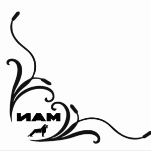 Par Autocolantes Vidros MAN